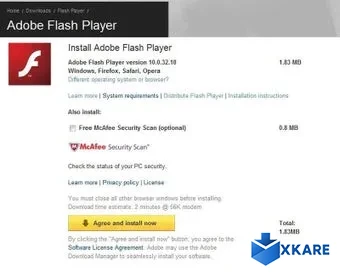 Adobe Flash Player (for IE)