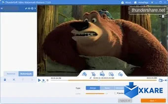 Video Watermark Remove
