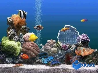 SereneScreen Marine Aquarium