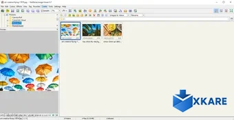 FastStone Image Viewer