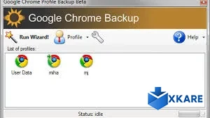Google Chrome Backup