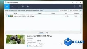 Free Download Manager