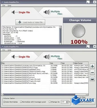 Audio Amplifier Pro