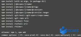 npm install