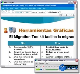 WebEx Player
