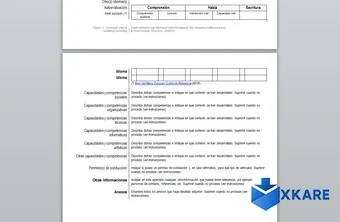 European CV
