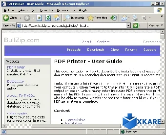 BullZip PDF Printer