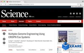 Zotero Connector