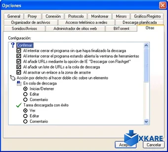 FlashGet Portable