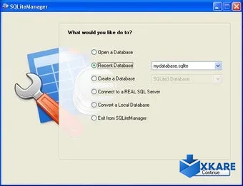 SQLiteManager