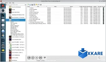 Strawberry Music Player
