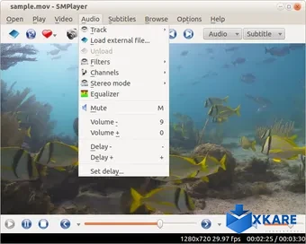 SMPlayer