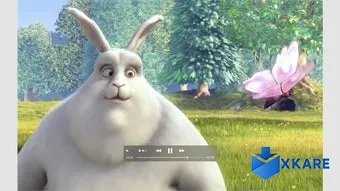 Media Player Pro X.
