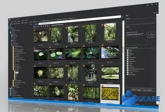 Photo Manager