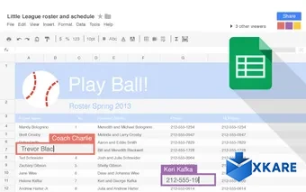 Google Sheets for Chrome
