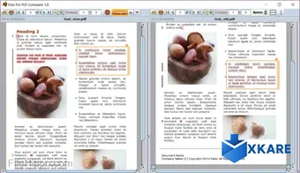 Kiwi FREE PDF Comparer