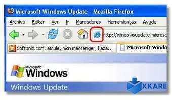 IE Tab Extension