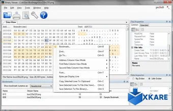 Binary Viewer