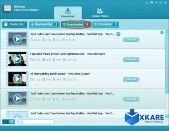 Windows Video Downloader