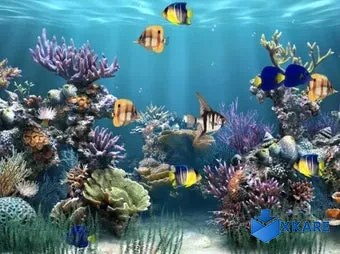 Aquarium Animated Wallpaper