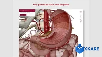 Anatomy & Physiology: Intro of Human Body Systems