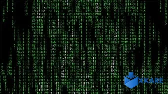 Matrix 4k Live Wallpaper
