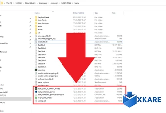 Anti-cheat toggler and offline launcher - Elden Ring