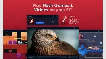 Flash Player.