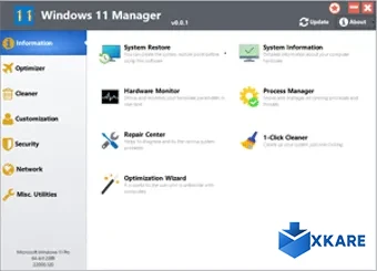 Windows 11 Manager