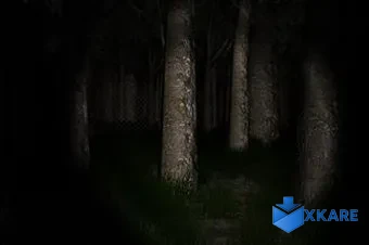 Slender: The Eight Pages