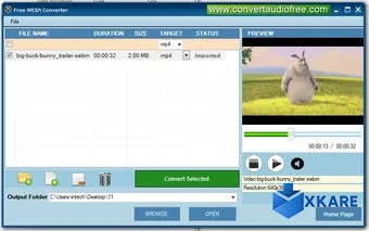 Free WebM Converter