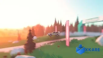 Art of Rally