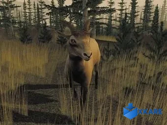 Trophy Hunter