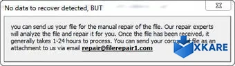 File Repair