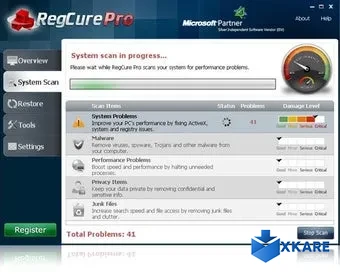 RegCure Pro