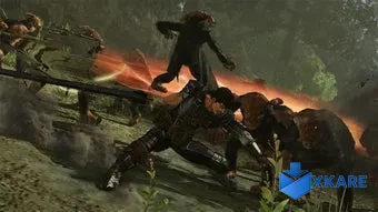 Berserk and the Band of the Hawk