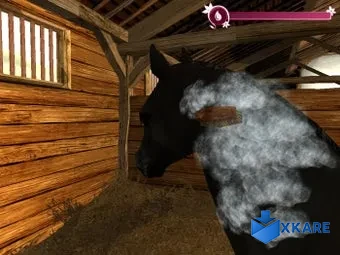 Horse Life