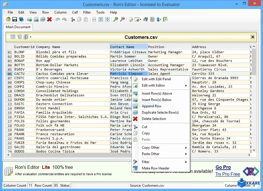 Rons Editor