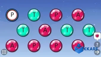 Kids Preschool Learn Letters