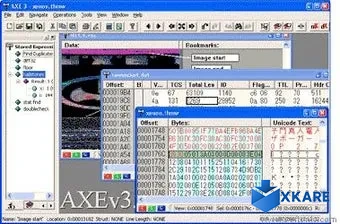Advanced Hex Editor (A.X.E.)