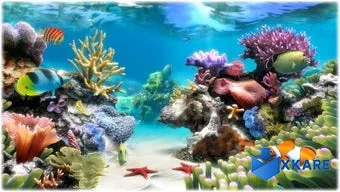 Sim Aquarium 3D