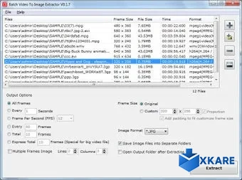 Batch Video To Image Extractor