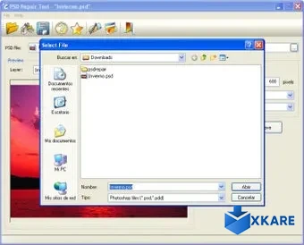 PSD Repair Tool