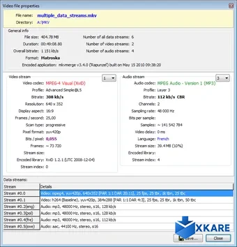 Pazera Free MKV to AVI Converter