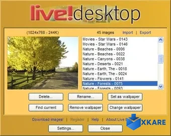 Live Desktop