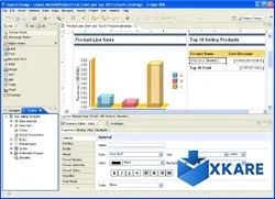 BIRT Report Designer