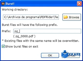 PDF Rider