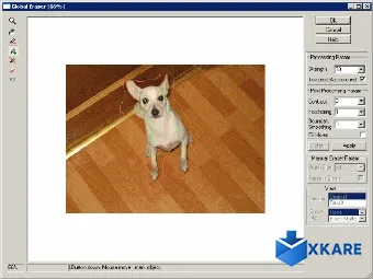 Background Remover