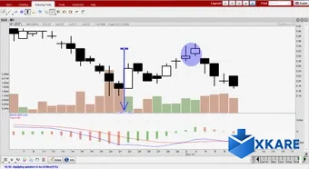 ChartNexus