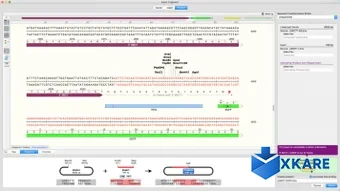 SnapGene